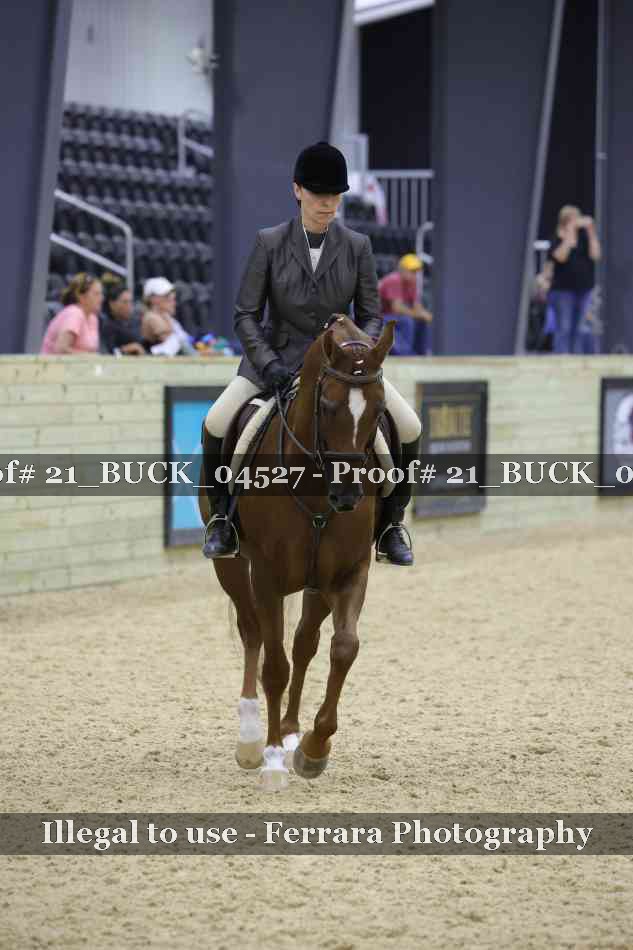 Proof 21_BUCK_04527