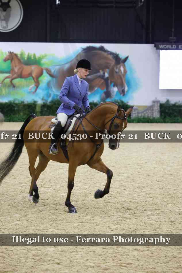 Proof 21_BUCK_04530