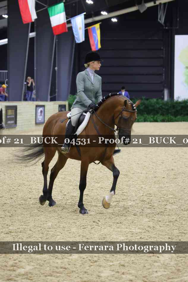 Proof 21_BUCK_04531