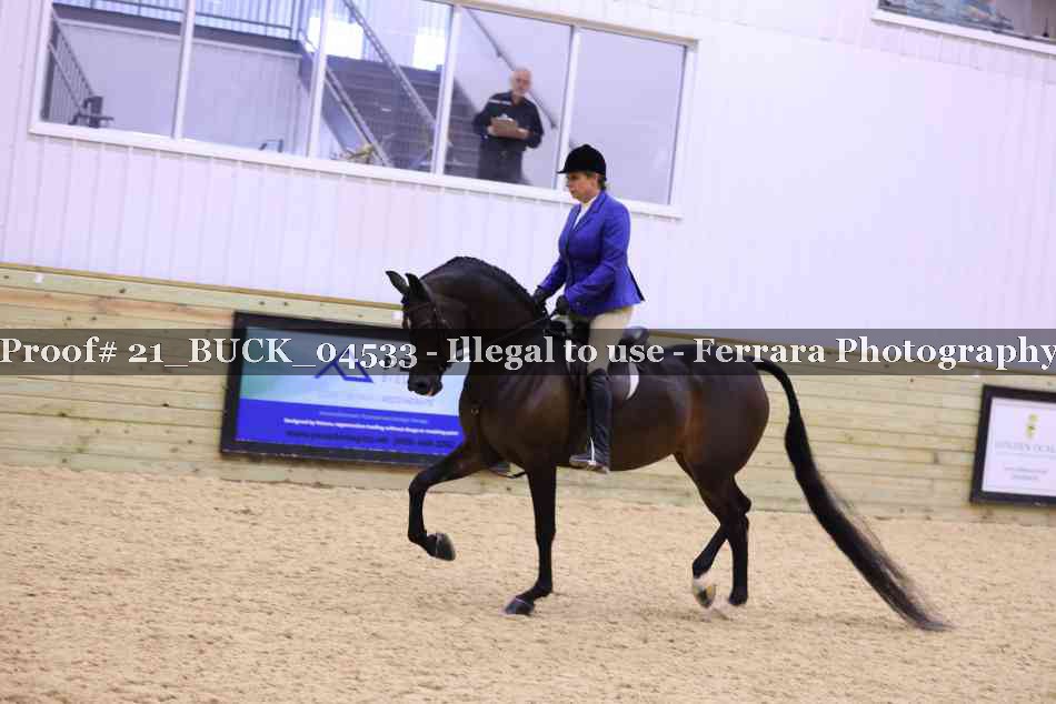 Proof 21_BUCK_04533