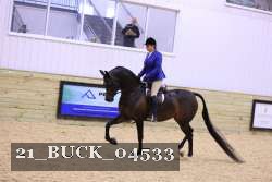 21_BUCK_04533 proof