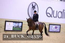 21_BUCK_04536 proof