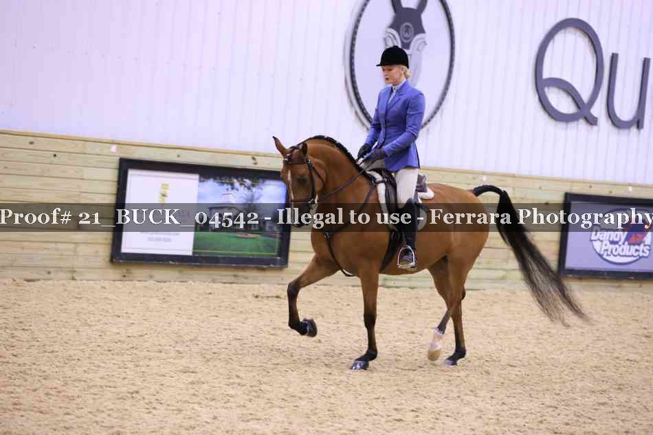Proof 21_BUCK_04542