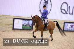 21_BUCK_04542 proof