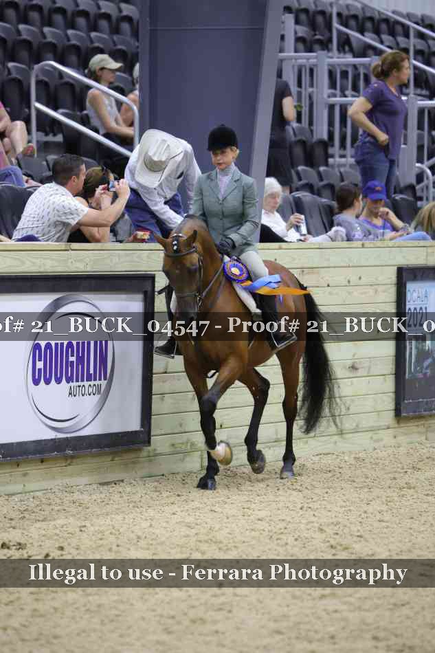 Proof 21_BUCK_04547