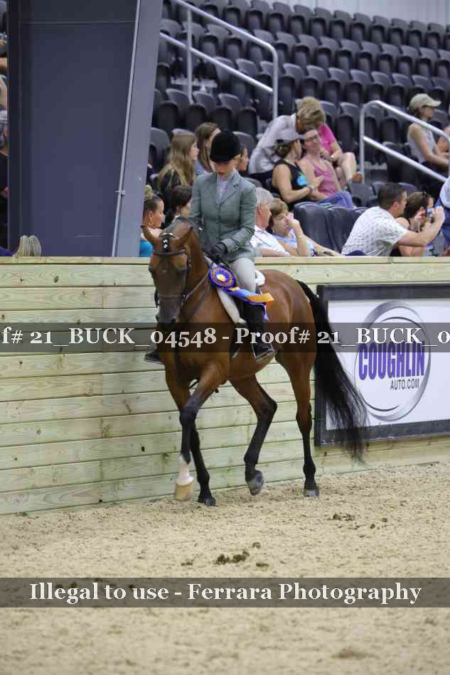 Proof 21_BUCK_04548
