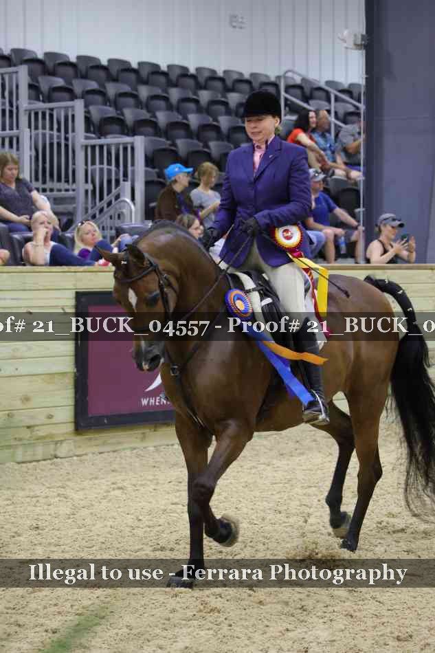 Proof 21_BUCK_04557