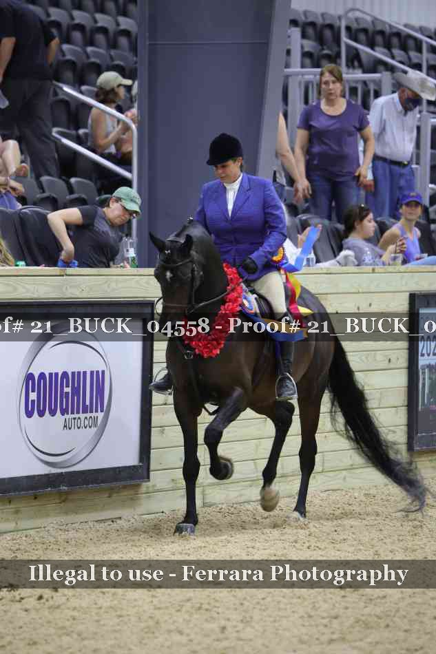 Proof 21_BUCK_04558