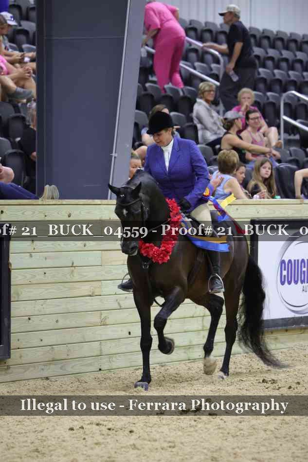 Proof 21_BUCK_04559