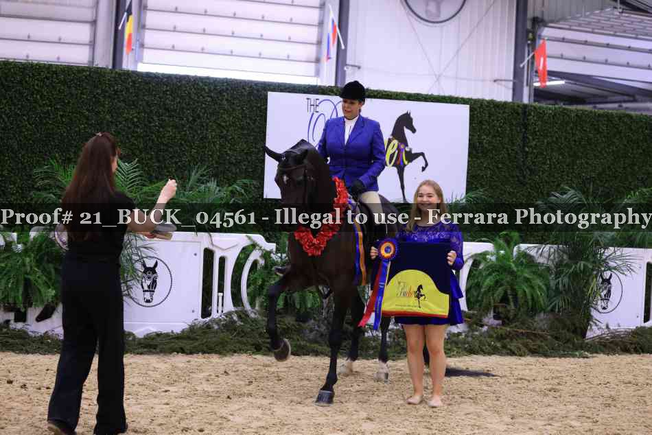 Proof 21_BUCK_04561