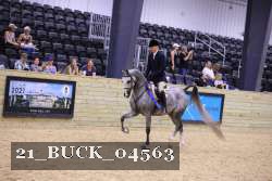 21_BUCK_04563 proof