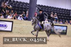 21_BUCK_04564 proof