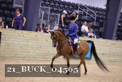 21_BUCK_04565 proof