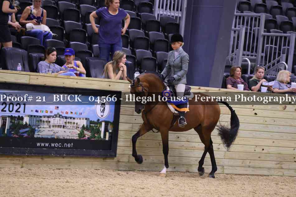 Proof 21_BUCK_04566
