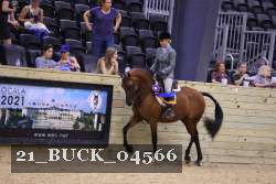 21_BUCK_04566 proof