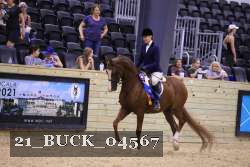 21_BUCK_04567 proof
