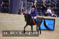 21_BUCK_04568 proof