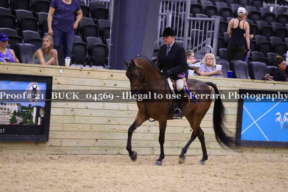 Proof 21_BUCK_04569