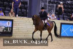 21_BUCK_04569 proof