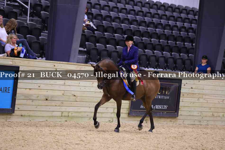 Proof 21_BUCK_04570