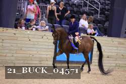 21_BUCK_04571 proof