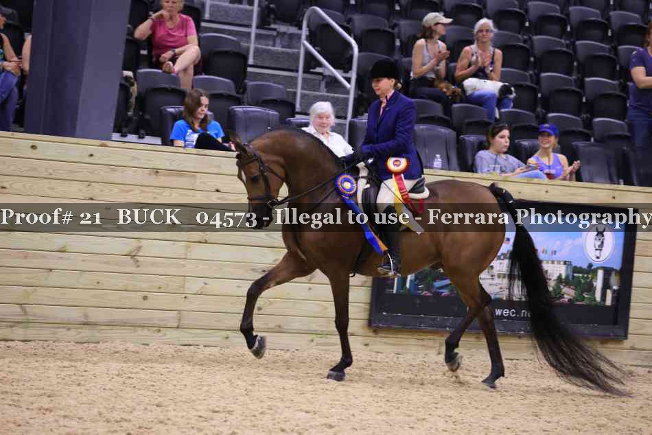 Proof 21_BUCK_04573