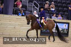 21_BUCK_04573 proof