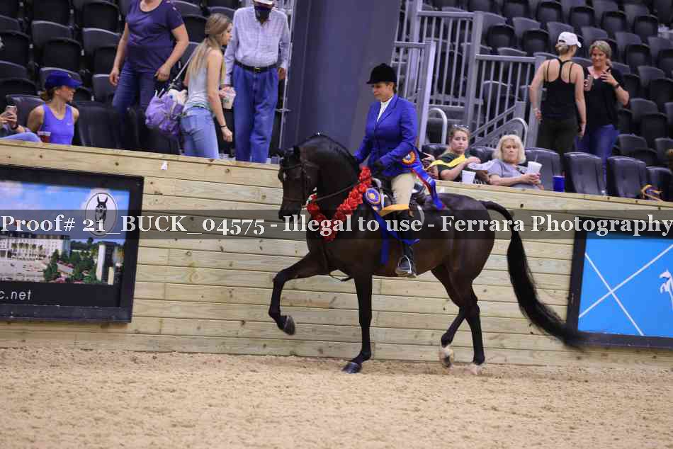 Proof 21_BUCK_04575