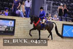 21_BUCK_04575 proof