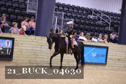21_BUCK_04630 proof