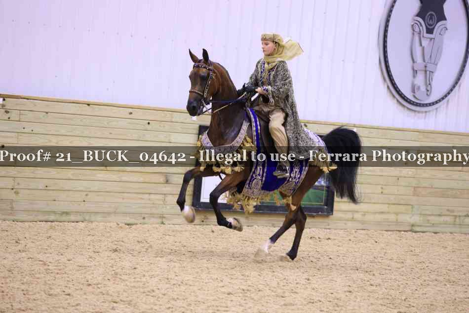 Proof 21_BUCK_04642