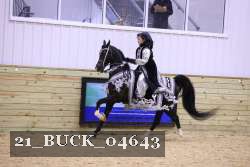 21_BUCK_04643 proof