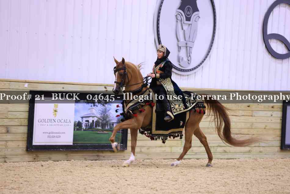 Proof 21_BUCK_04645