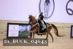 21_BUCK_04645 proof