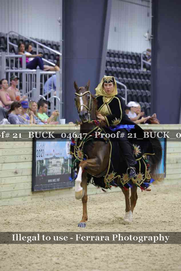 Proof 21_BUCK_04647
