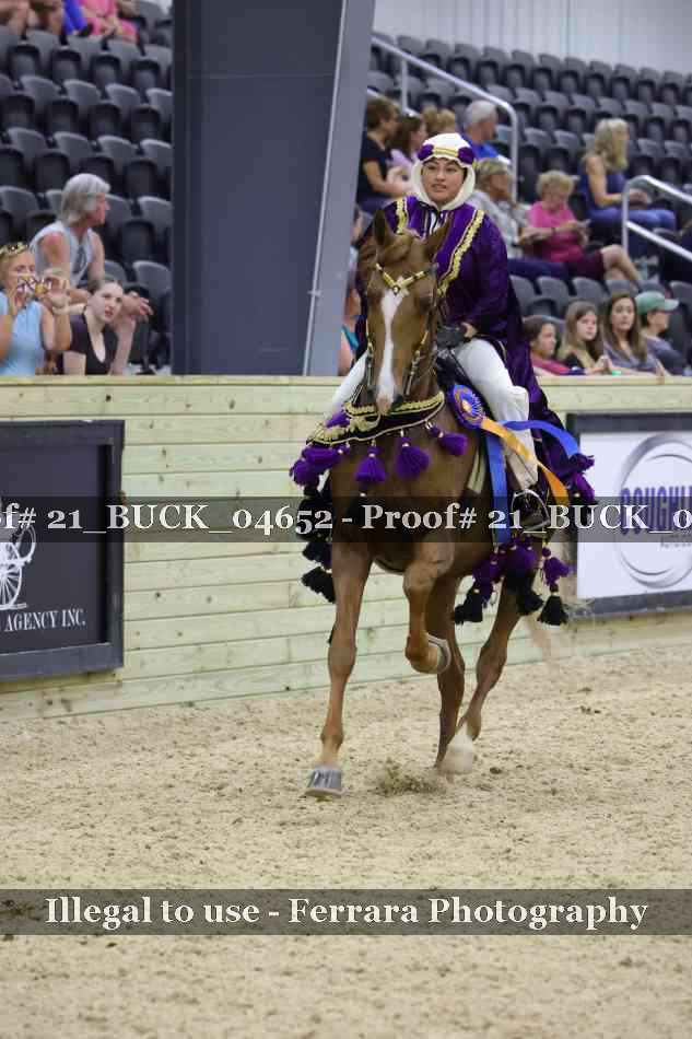 Proof 21_BUCK_04652