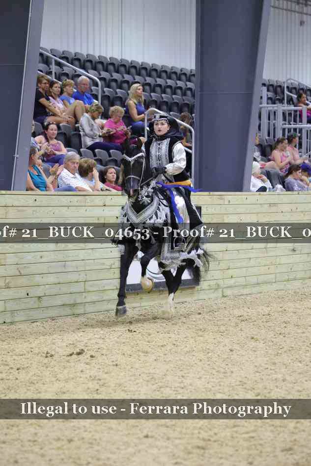 Proof 21_BUCK_04653