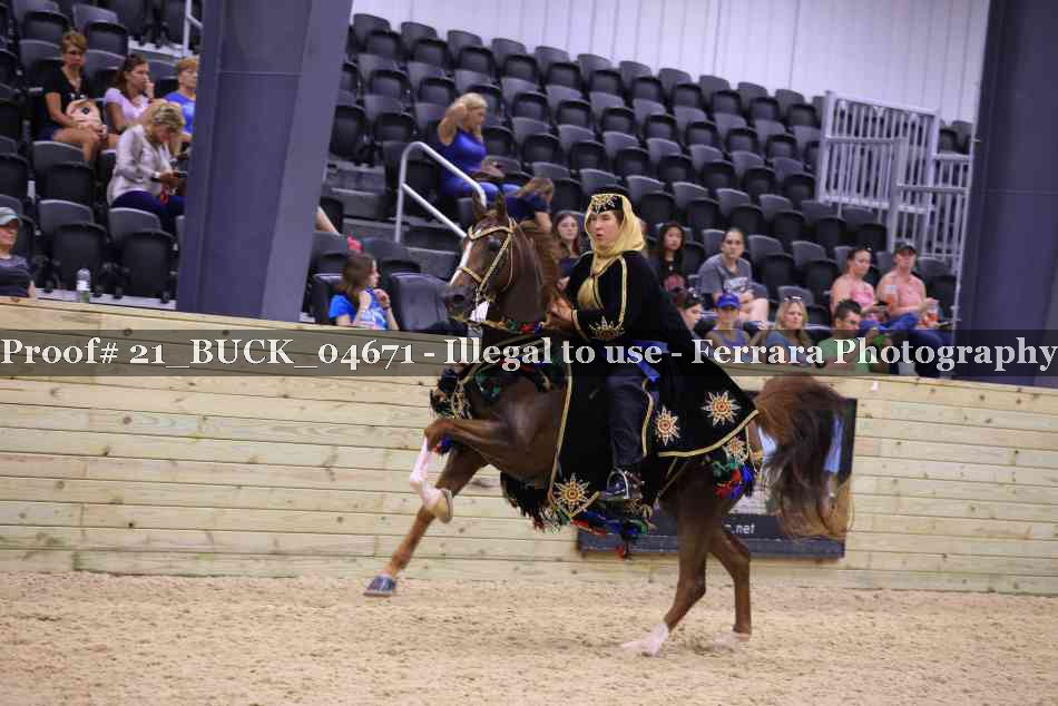 Proof 21_BUCK_04671