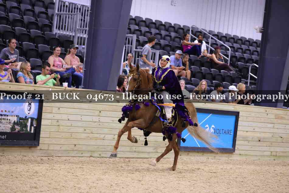 Proof 21_BUCK_04673