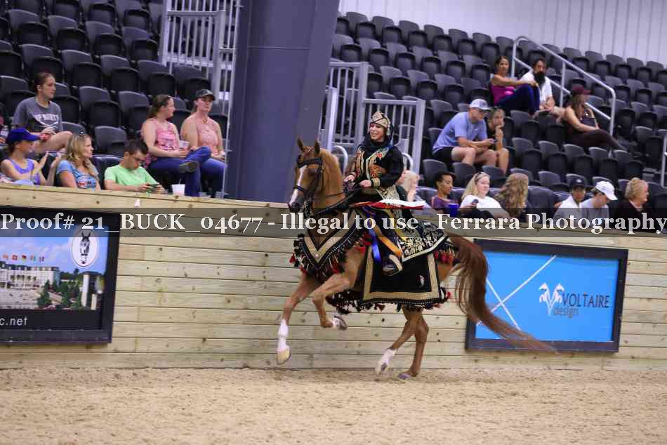 Proof 21_BUCK_04677