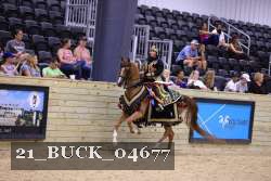 21_BUCK_04677 proof