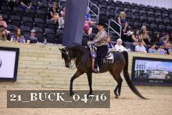 21_BUCK_04716 proof