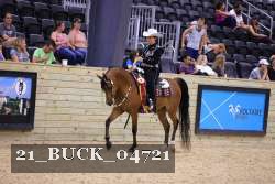 21_BUCK_04721 proof