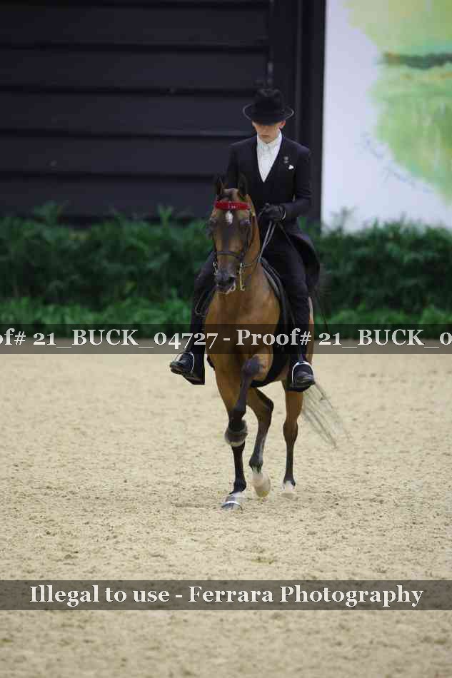 Proof 21_BUCK_04727