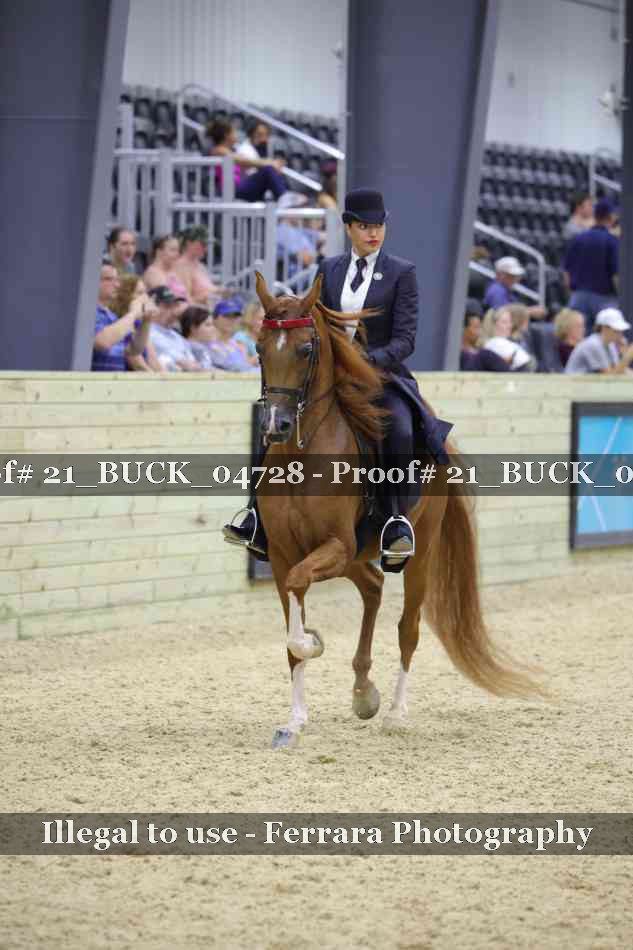Proof 21_BUCK_04728