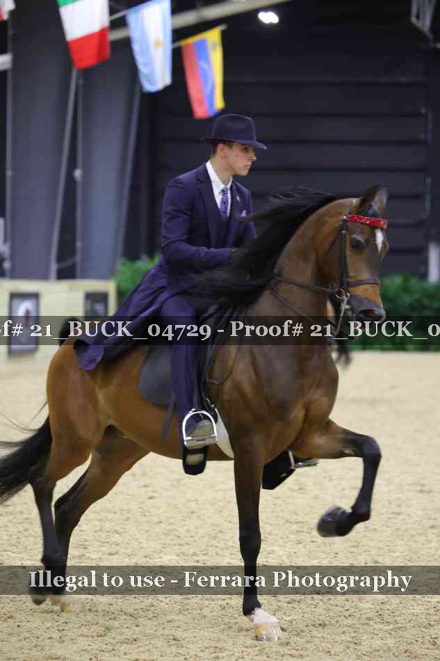 Proof 21_BUCK_04729