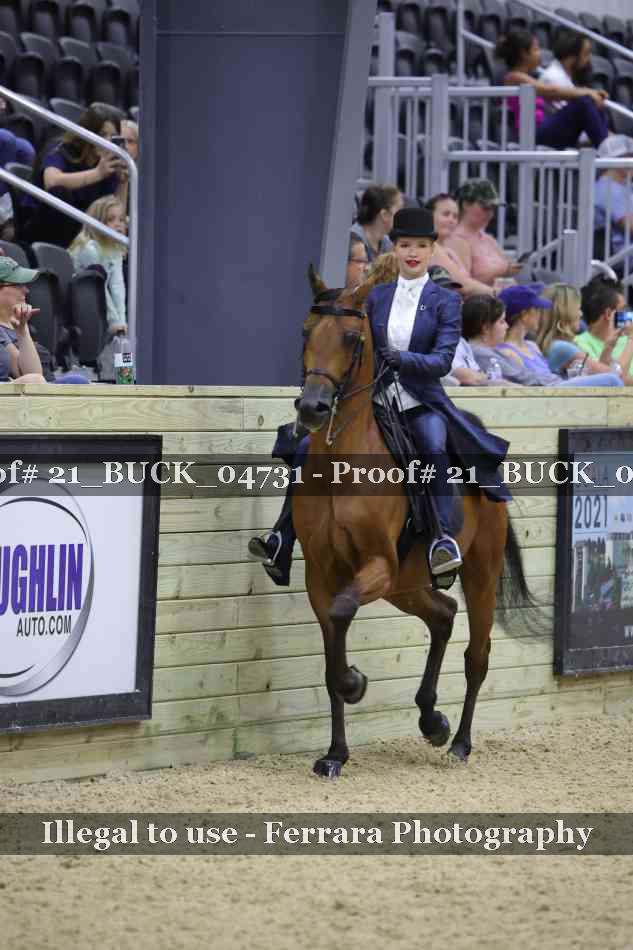Proof 21_BUCK_04731