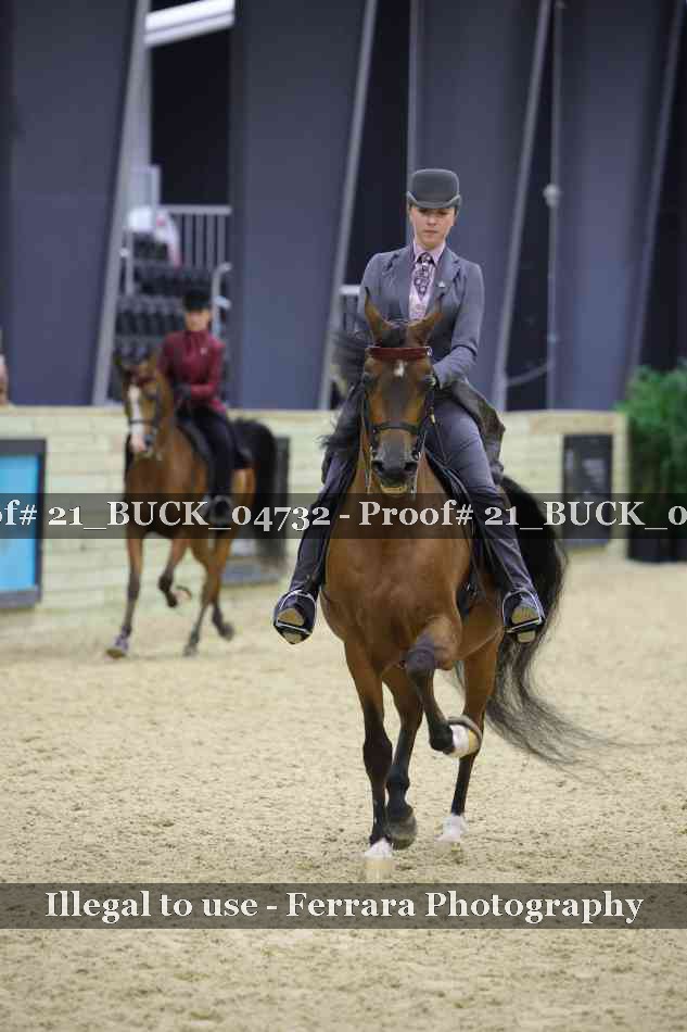 Proof 21_BUCK_04732