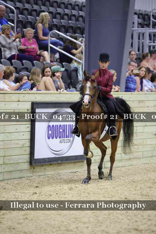 Proof 21_BUCK_04733