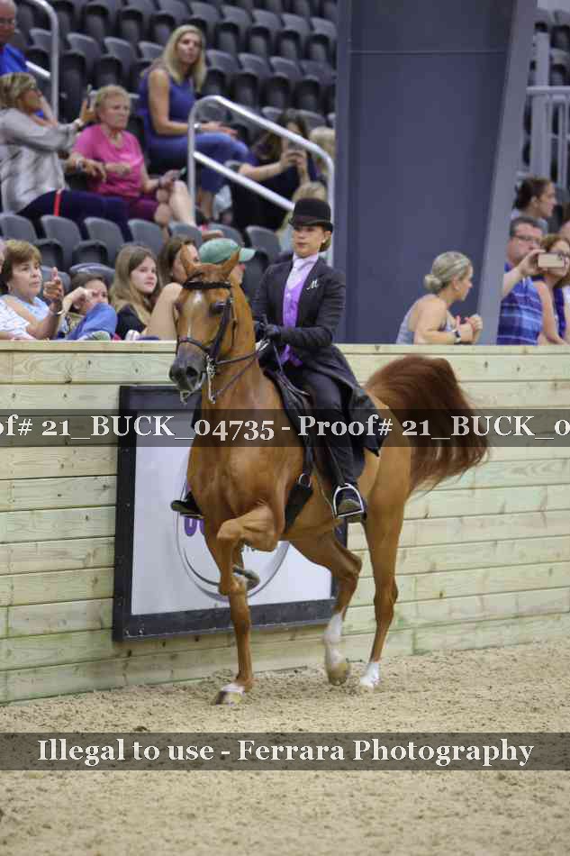 Proof 21_BUCK_04735